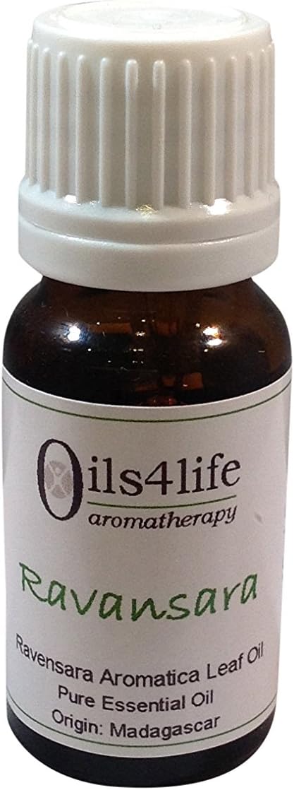 Ravansara essential oil - Ravansara aromatic, 10ml