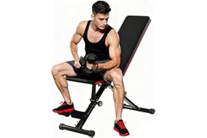 Aidoly Adjustable Weight Bench for Home Gym, Foldable Workout Equipment for Full Body Strength Training, Incline Decline Sit-Up Bench, 795LBS Capacity for Chest, Shoulders, Arms