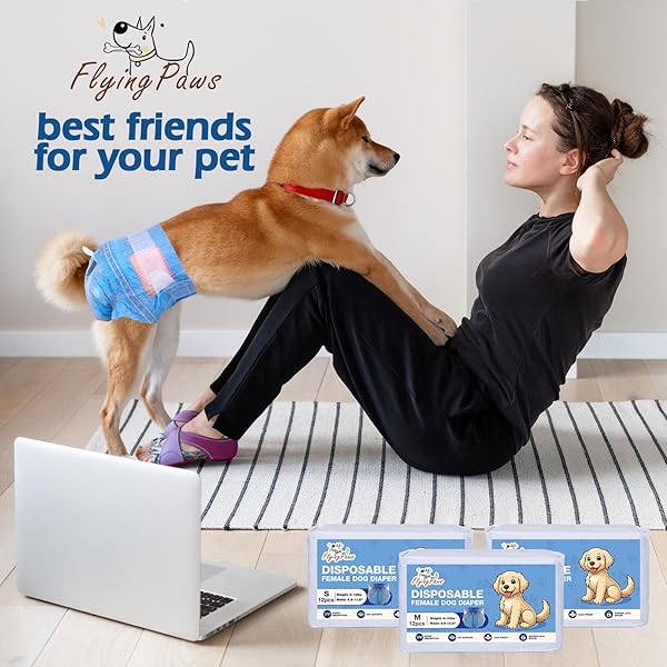 FLYING PAWS DOG DIAPERS FEMALE, DISPOSABLE DOG DIAPERS SMALL JEANS PATTERN DOGGIE PUPPY DIAPERS FEMALE CATS, X-SMALL, 12 COUNT