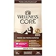 Wellness CORE Natural Grain-Free High Protein Adult Dry Cat Food Recipe, Turkey, Turkey Meal and Duck Formula, 5 Pound Bag