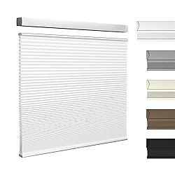 Boolegon Top Down Bottom Up Light Filtering