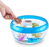 Robo Alive Robo Turtle Robotic Toy 2 Pack Orange Blue Water Powered view 4