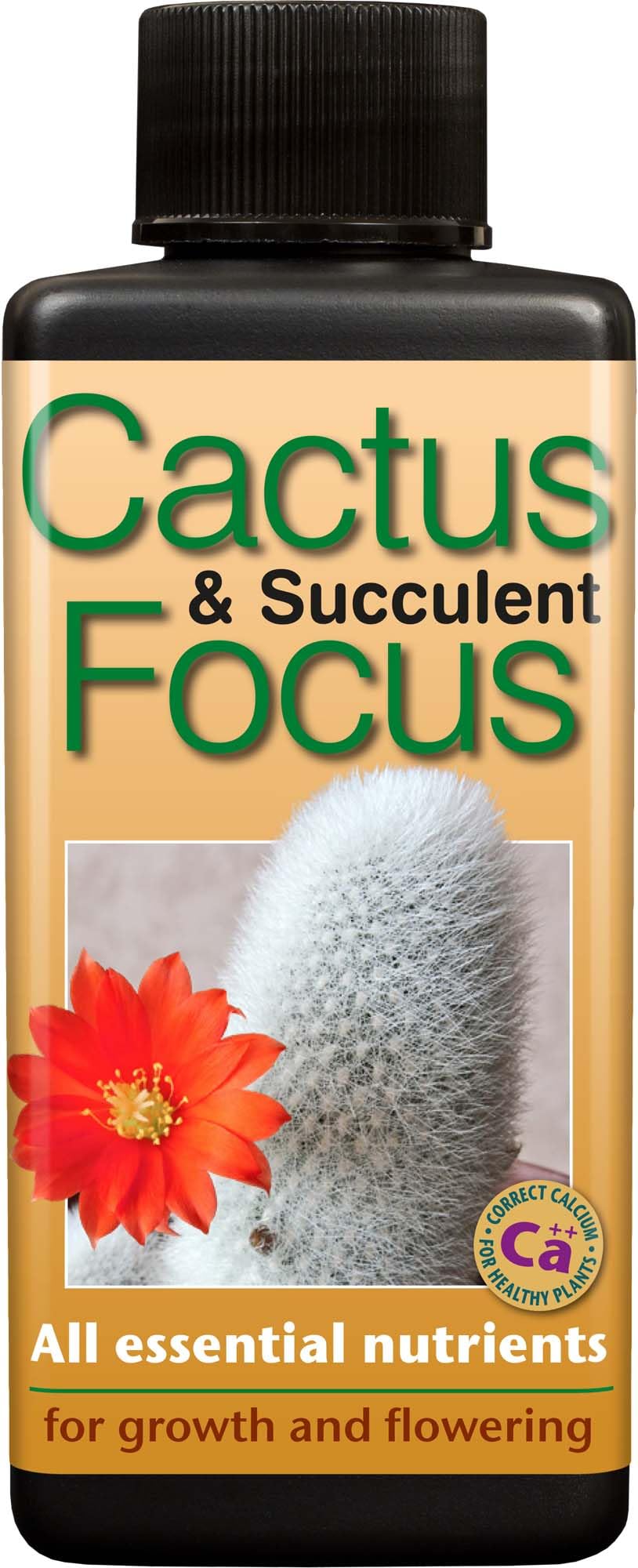 Cactus and Succulent Focus 100 ml