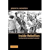 Inside Rebellion: The Politics of Insurgent Violence (Cambridge Studies in Comparative Politics)