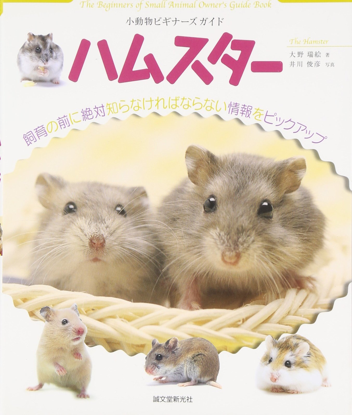 小動物ビギナーズガイド ハムスター 大野 瑞絵 俊彦 井川 本 通販 Amazon
