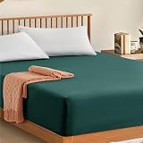 My home store Fitted Sheet 100% Egyptian Cotton 300TC Emerald Double