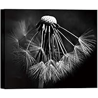 SIGNWIN Canvas Wall Art Planting Seeds of Dandelion Floral Flower Photography Modern Art Romantics Closeup Dramatic Black and White for Living Room, Bedroom, Office - 12x18 inches