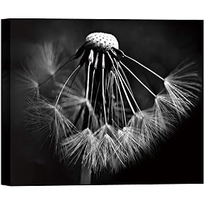 SIGNWIN Canvas Wall Art Planting Seeds of Dandelion...