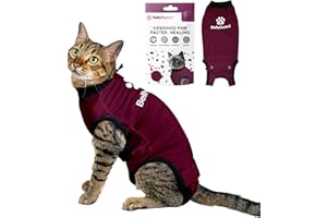 Bellyguard Cat Recovery Suit Female and Male, Comfy Onesie After Surgery, Kitten Clothes for Post-Op Care, Neuter and Spay Healing Outfits for Cats Only – Comfortable Kitten and Adult Cone Alternative