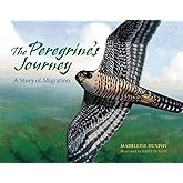 The Peregrine's Journey: A Story of Migration