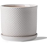 Chubacoo 8 Inch Plant Pot: Ceramic Planter with Drainage Hole & Saucer Indoor Outdoor Plants - Flowerpot with Bonded Tray for Home Office - Beaded Embossed Style, Cream White