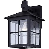 Canarm Dom 1-Light Outdoor Lantern, 11-Inch Black Wall Mount with Clear Seeded Glass Durable Weather-Resistant Lighting for P