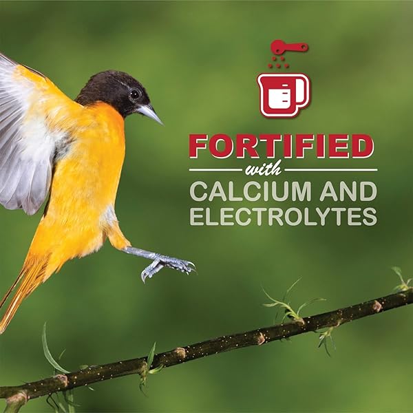 SWEET-SEED ORIOLE NECTAR 250ML (8OZ), READY TO USE – EXTENDS THE LIFE OF NECTAR FOR ORIOLE FEEDERS | ULTIMATE ORIOLE FOOD… (1-PACK)