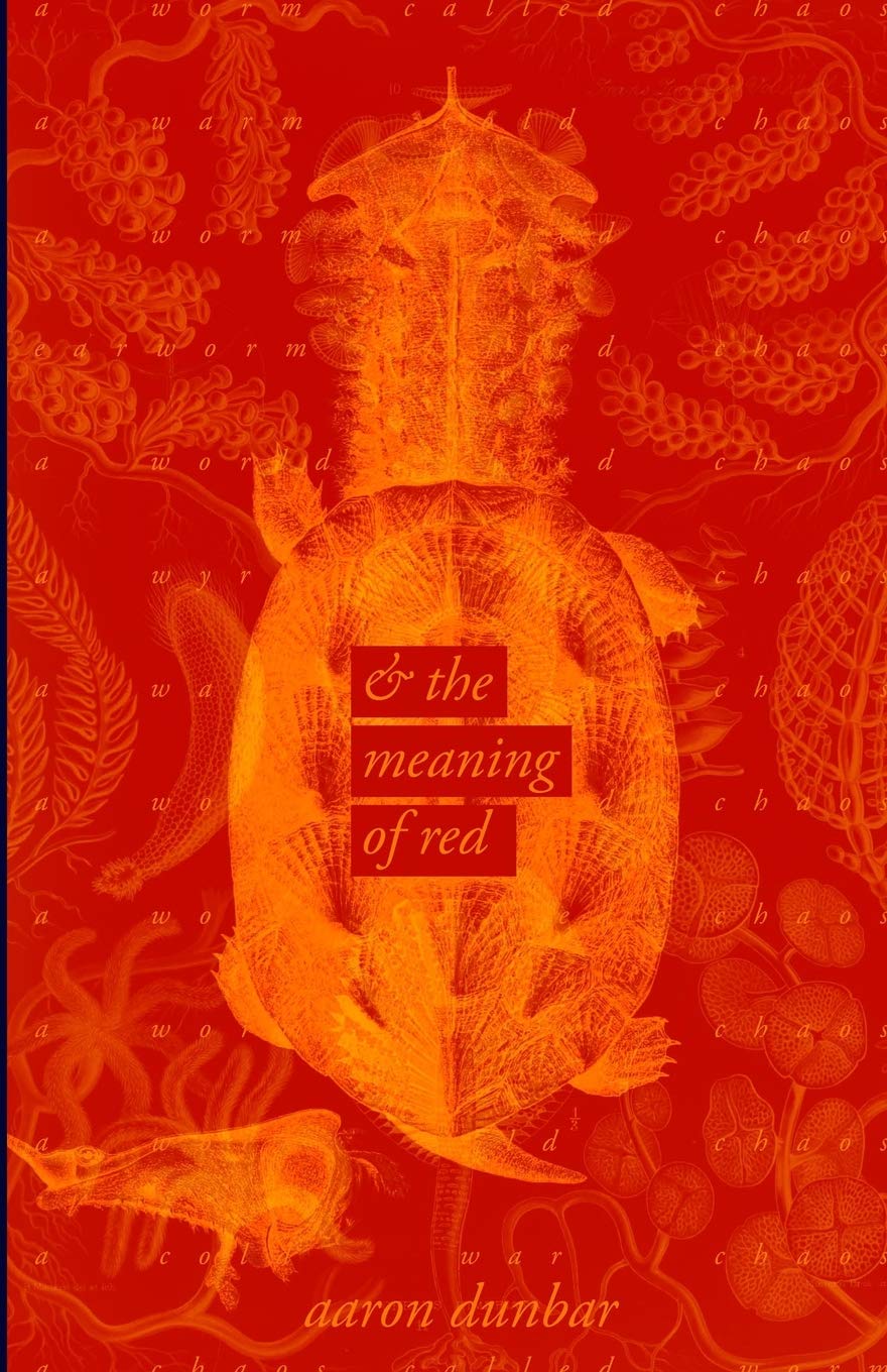 A Worm Called Chaos And The Meaning Of Red Dunbar ron Amazon Com Books