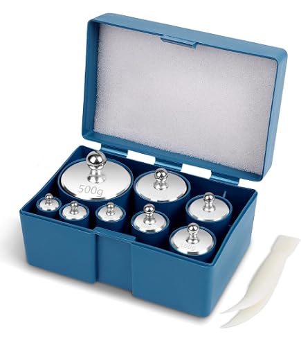 Rice Lake Stainless Steel ASTM Class 6 Avoirdupois Hook Test Weight, 1oz Mass: Calibration Weights Industrial & Scientific
