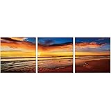 SLS Vision. Saintly Shore. 60 x 20 inches. Ready to Hang. Contemporary Art, Modern Wall Decor, 3 Panel Commercial Grade Machine Framed Giclee Canvas Print. Home Decoration Painting. A1284L