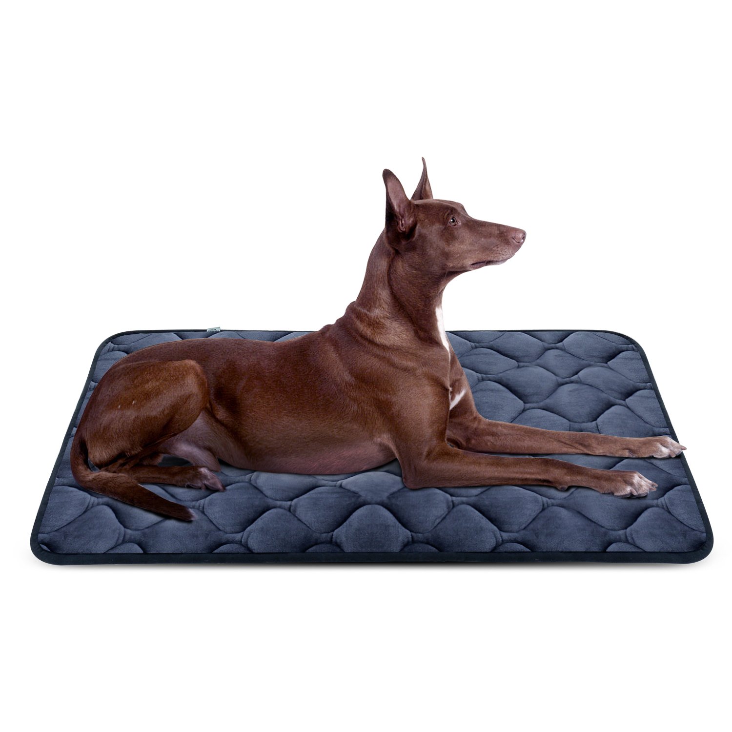 Hero Dog Large Dog Bed Mat 42 Inch Crate Pad Anti Slip Mattress