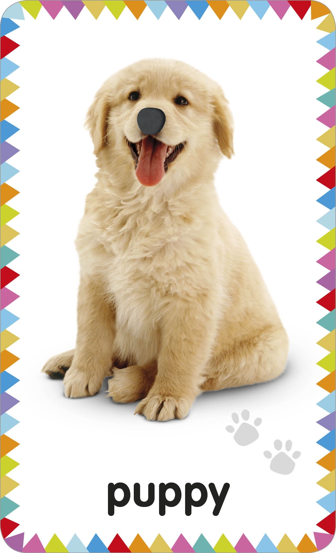 My First Touch and Feel Picture Cards: Animals (My First Board Books) My First Touch and Feel Picture Cards: Animals (My First Board Books) Cards