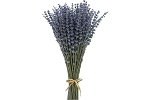 CoolCrafts Dried Lavender Bundles Lavender Bunches Dry Lavender Flowers for Home Decor, Crafts, Wedding Bouquets
