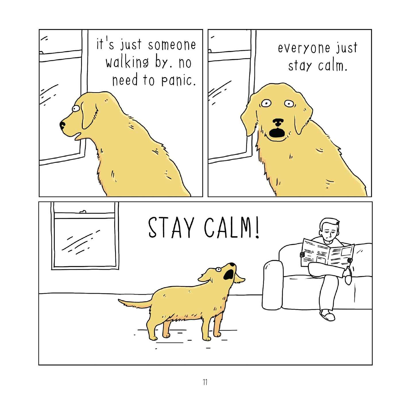 They Can Talk A Collection Of Comics About Animals Craig Jimmy 9781612437835 Amazon Com Books