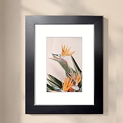 LaVie Home 8.5x11 Picture Frame, 8.5 x 11 Frame