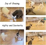 Migipaws Interactive Cat Ball Toy Set Fun Tracker Rechargeable White view 5