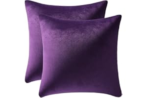 DEZENE 18x18 Throw Pillow Cases Purple: 2 Pack Cozy Soft Velvet Square Decorative Pillow Covers for Farmhouse Home Decor