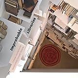 Improbable Libraries: A Visual Journey to the