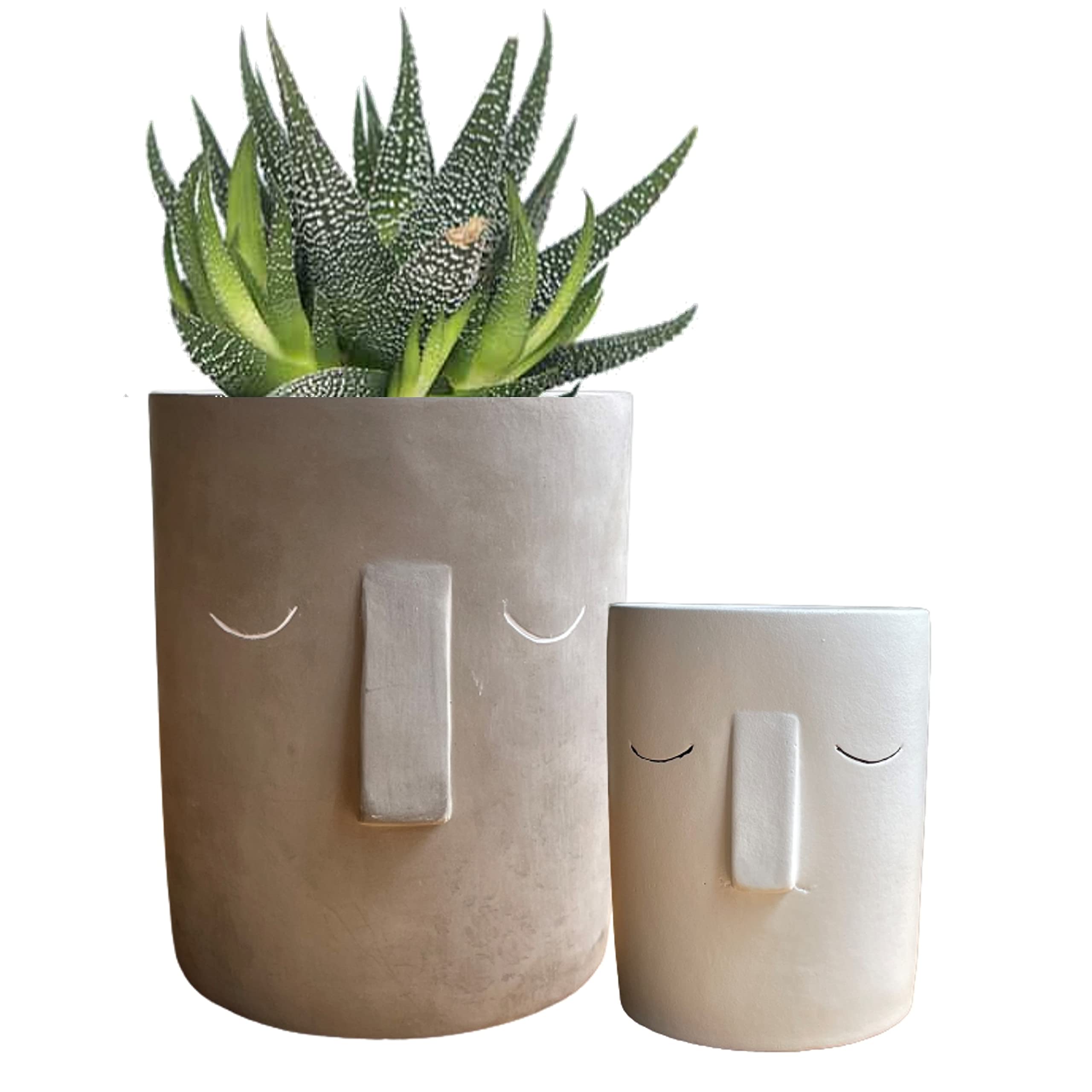 Face Design Ceramic Plant Pots Set 2 Grey and White Indoor Planters Container Utensil Holder Flower Pots