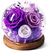 Valentines Day Flowers Gifts for Women,Forever Real Preserved Roses in Glass Dome,Valentines Roses Gifts for Her Wife Girlfriend Women Best Friend/Purple