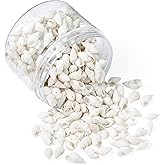 KISSITTY About 300pcs Natural Beach Sea Shell Beads with Holes 1mm Length 16-25mm Trumpet Spiral Seashells for DIY Craft Jewelry Making Wedding Party Home Decor