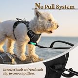 rabbitgoo Dog Harness Small No Pull Front Back Clip Adjustable Reflective XS view 6