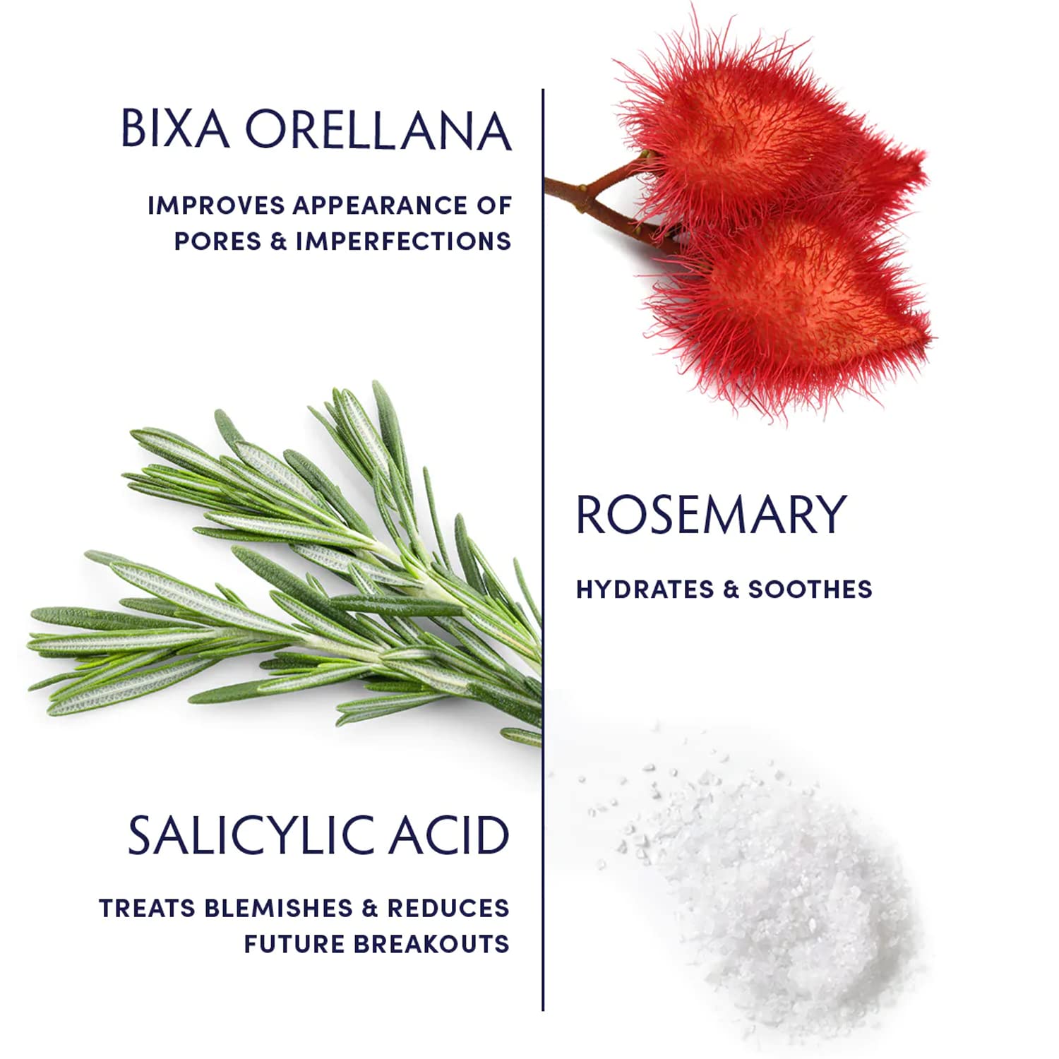 Naturopathica Rosemary & Salicylic Acid Acne Clearing Moisturizer, Lightweight Facial Moisturizer for Blemish-Prone Skin, Clarifying Face Cream for Men and Women, 1.69 fl oz