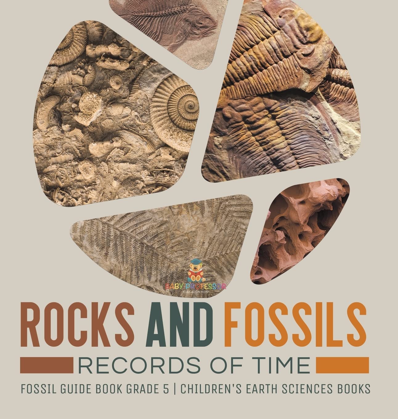 Rocks and Fossils : Records of Time 
