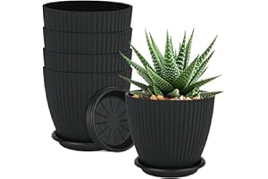 QRRICA Plant Pots 6 inch Pots, 5 Pack Flower Pots Outdoor Indoor, Planters with Drainage Hole and Tray Saucer-Black