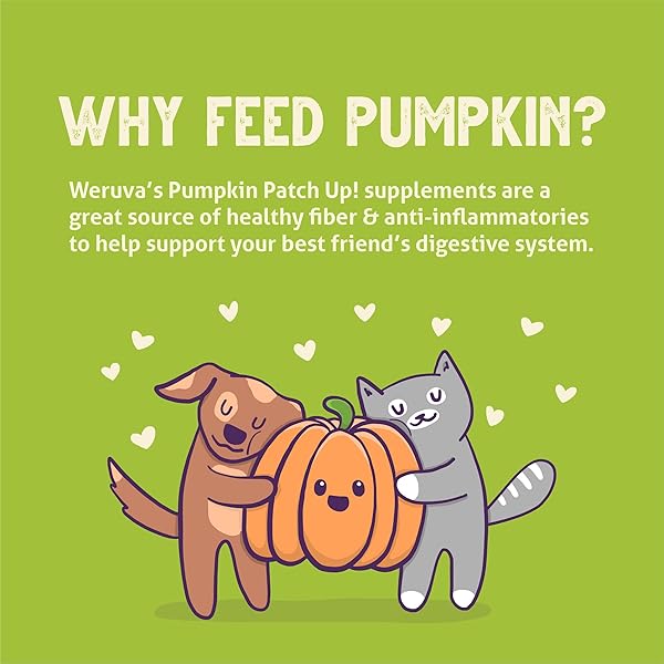 WERUVA PUMPKIN PATCH UP! PUMPKIN POUCHES FOR DOGS & CATS