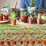 Augshy 75+ Pcs 4 Inch Nursery Pots Plastic Plant Pot Seed Starting Red view 7
