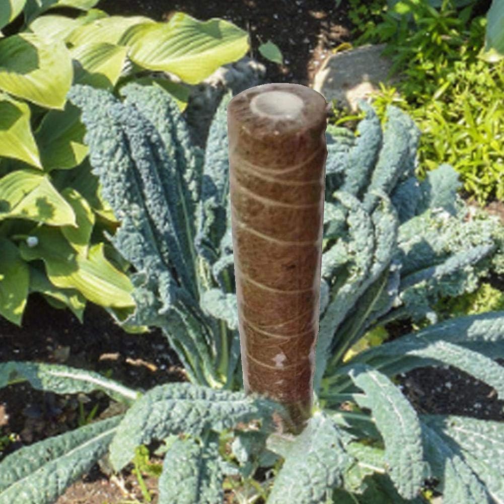 Tótem de coco, palito de palma de coco para trepar plantas de ...