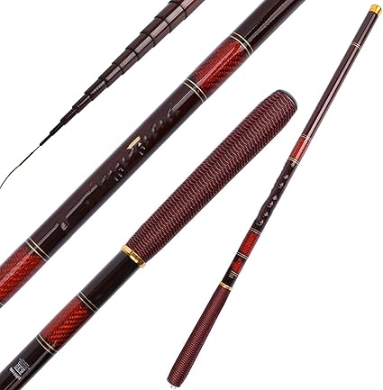 carp fishing pole