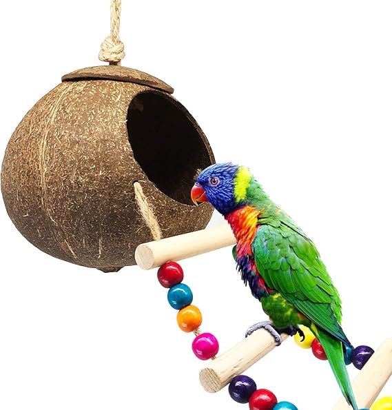 DICOBEE Coconut Bird House with Ladder, Hanging Coconut Shell Bird Nest for