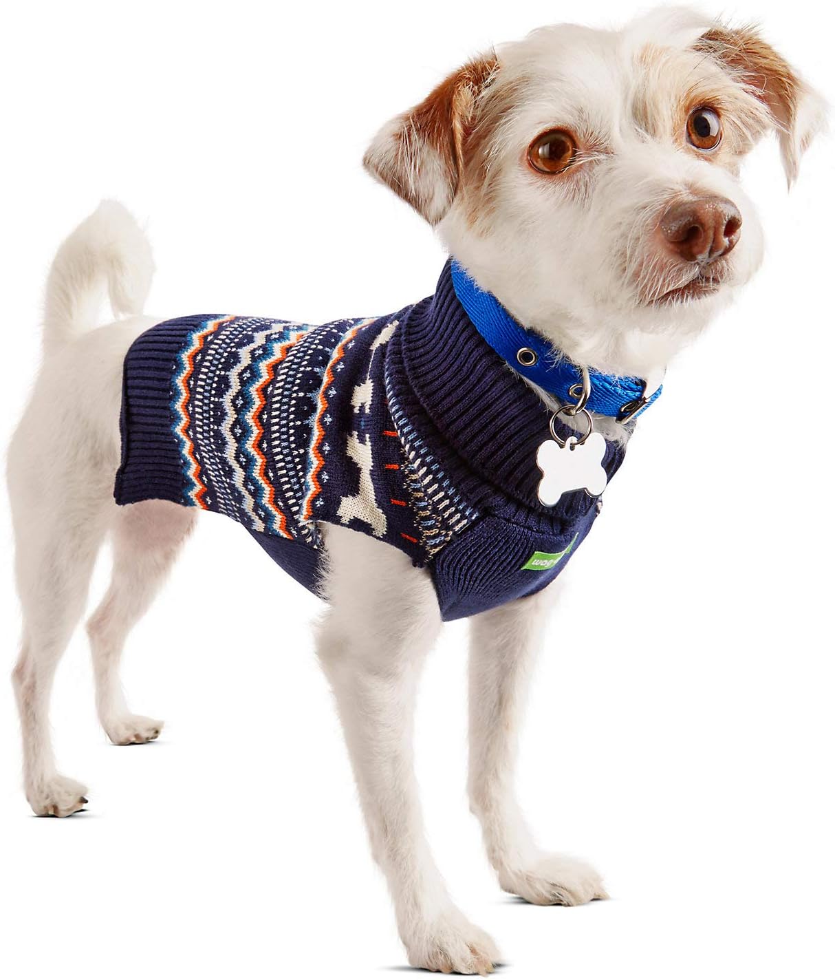 humane animal shelter