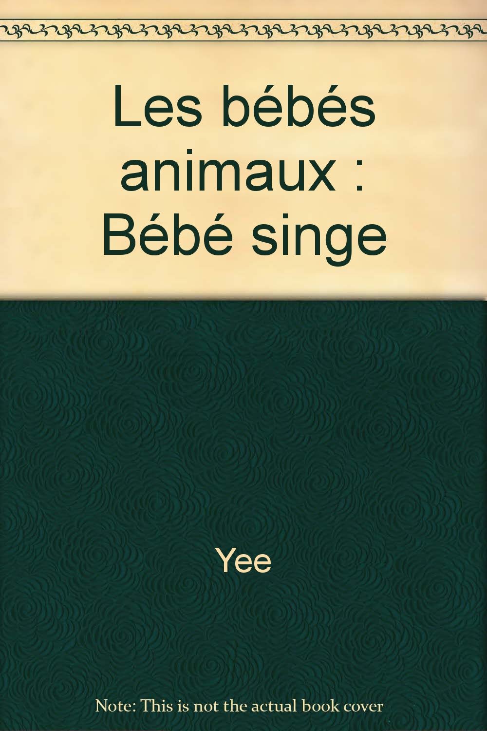 Bebe Singe Amazon Com Books