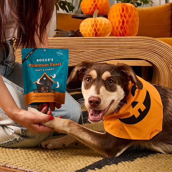 BOCCE’S BAKERY PHANTOM FEAST NATURAL SOFT & CHEWY HALLOWEEN DOG TREATS – WHEAT-FREE EVERYDAY COOKIES FOR DOGS, MADE WITH REAL INGREDIENTS & BAKED IN THE USA – CHICKEN & PUMPKIN FLAVORED (6 OZ BAG)