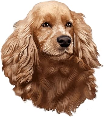 cocker spaniel clothes