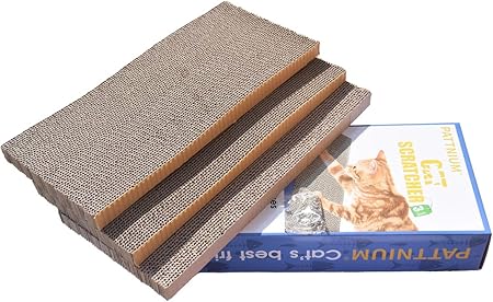 puppy clinics near me