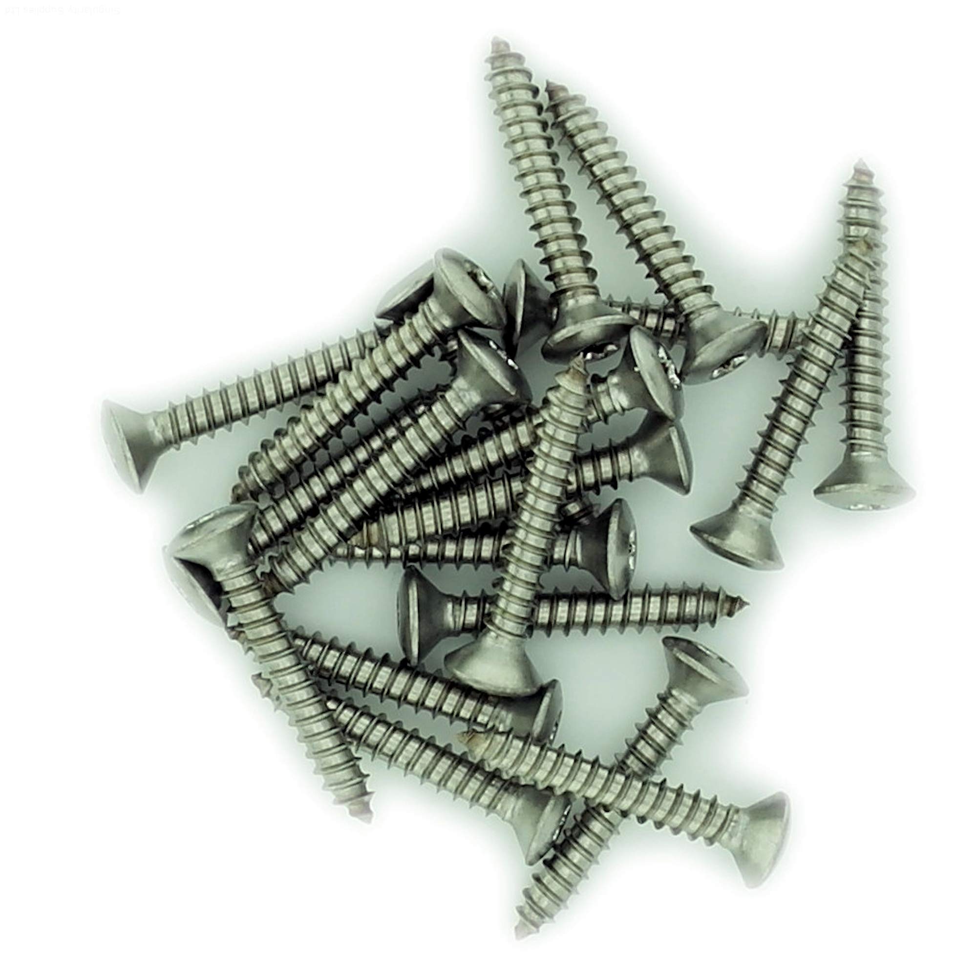 No.8 x 0.975 (4.2mm x 25mm) TX Raised Countersunk Self-Tapping Screw - Stainless Steel (A2) (Pack of 20) — image 1