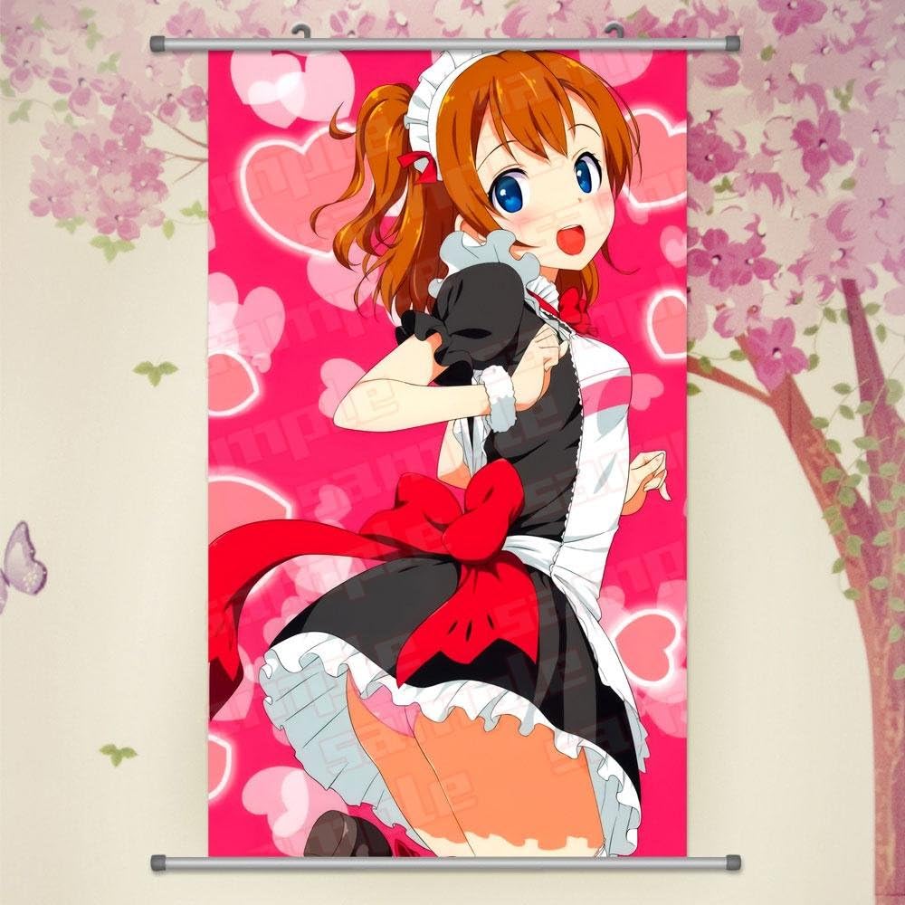 Amazon Com A Wide Variety Of Love Live School Idol Project Anime Characters Wall Scroll Hanging Decor Kousaka Honoka 4 Posters Prints