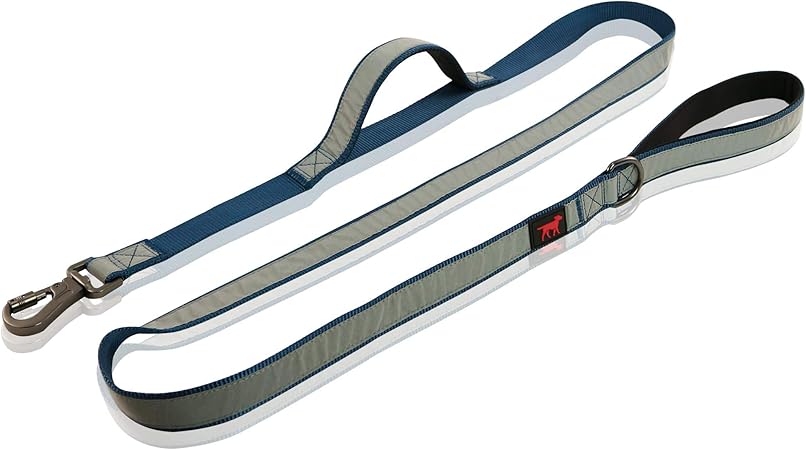 tough dog leash