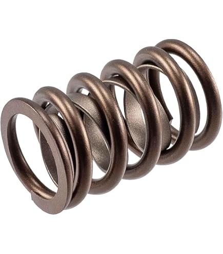 Amazon.com: COMP Cams 26918-1 Valve Spring : Automotive