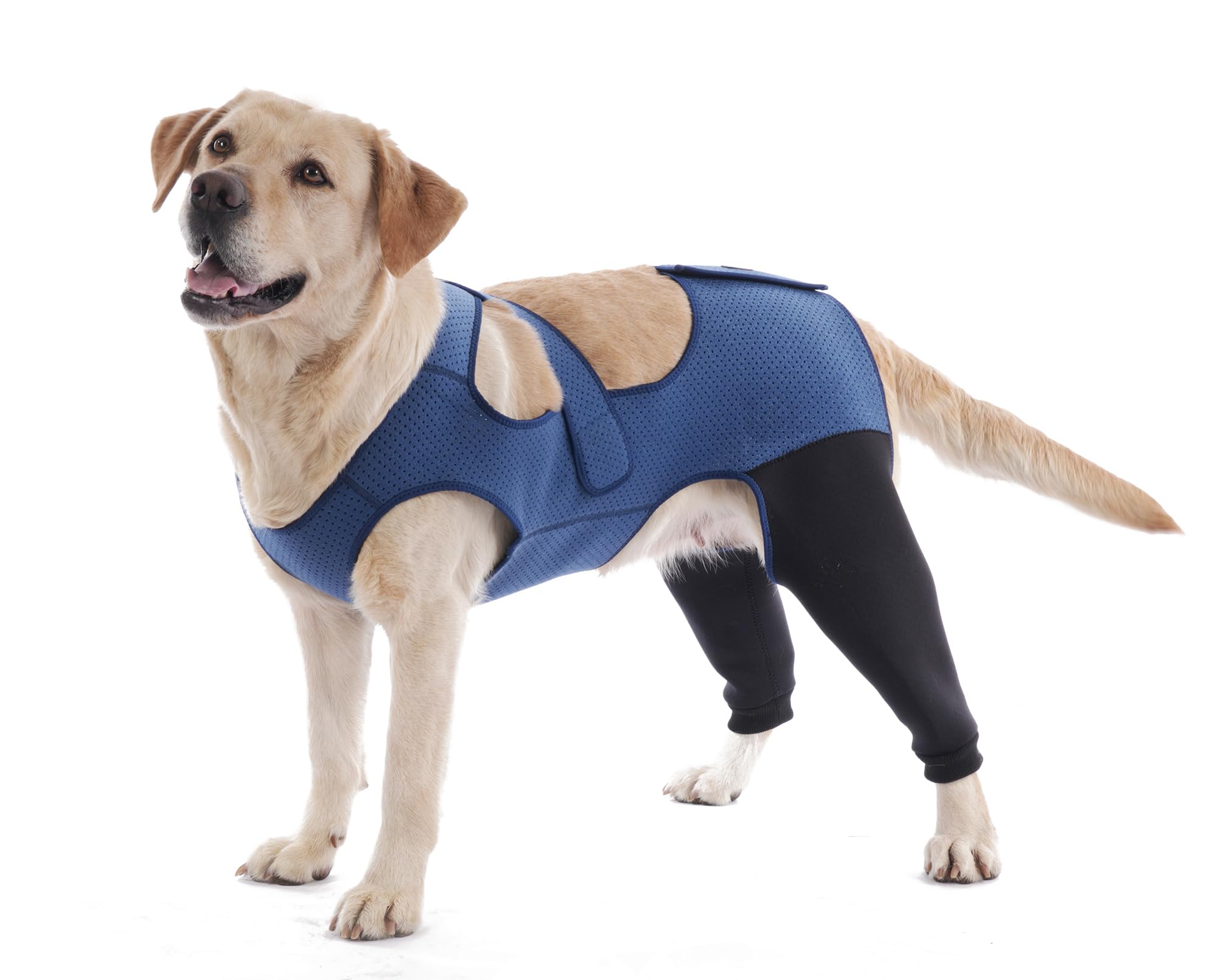Photo 1 of Dog Hind Leg Recovery Sleeve Dog Recovery Suit Breathable Sleeve to Stop Licking and Biting Firm and Secure, Adjustable Size, Comfortable Alternative to Cone Collars(XLarge, Rear Both Leg)